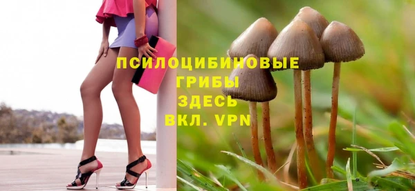 синтетический гашиш Костерёво