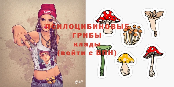 синтетический гашиш Костерёво